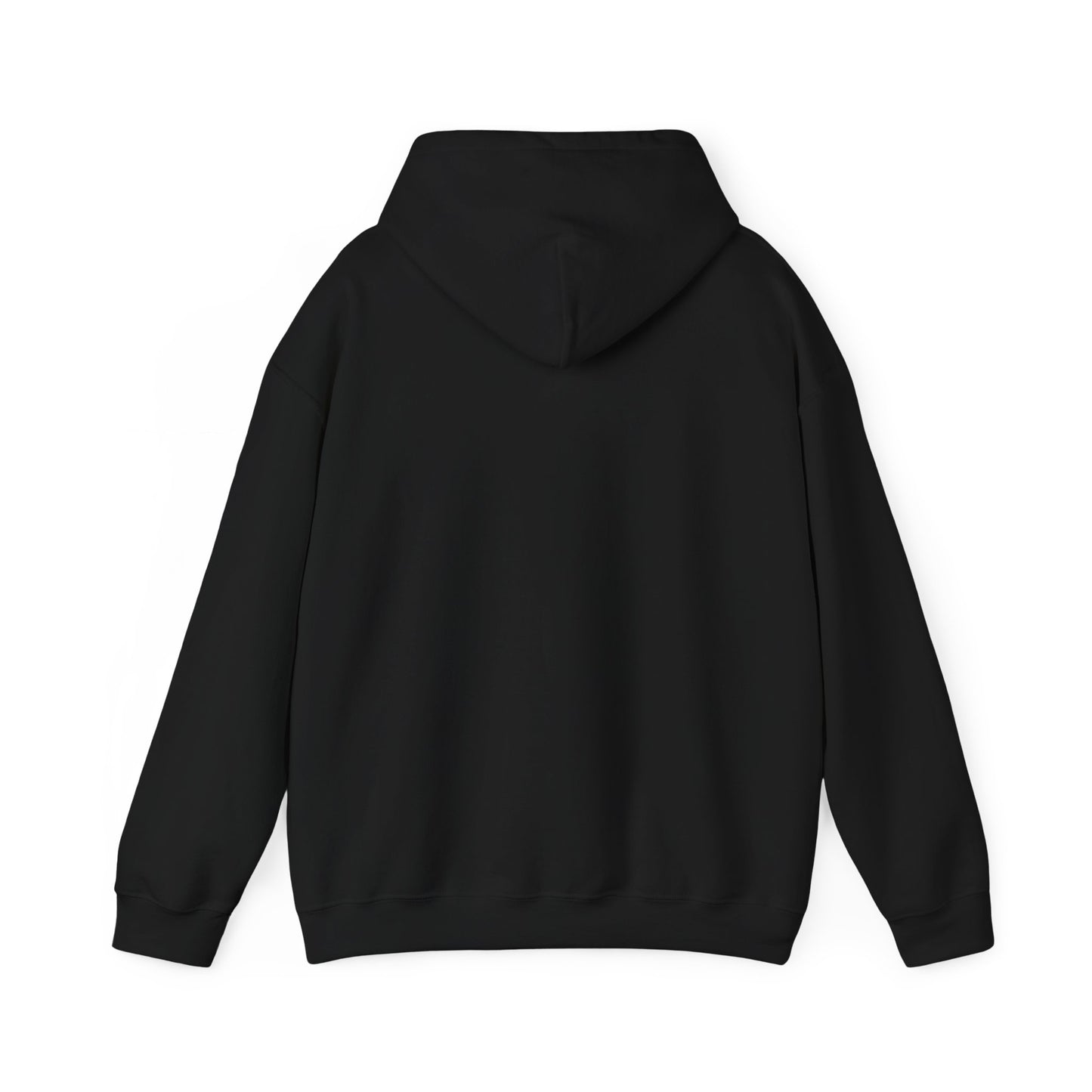 TRUTH = FREEDOM Hoodie